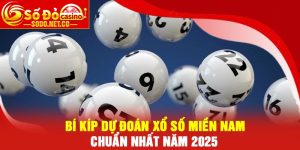 Bí kíp dự đoán Xổ số Miền Nam chuẩn nhất năm 2025