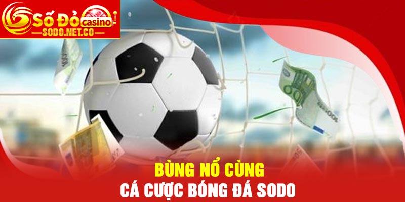 Bùng nổ cùng Cá cược bóng đá Sodo