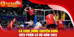 Cá cược bóng chuyền Sodo - Siêu phẩm cá độ năm 2025