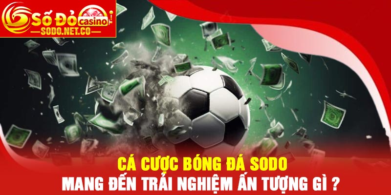 Cá cược bóng đá Sodo mang đến trải nghiệm ấn tượng gì ?