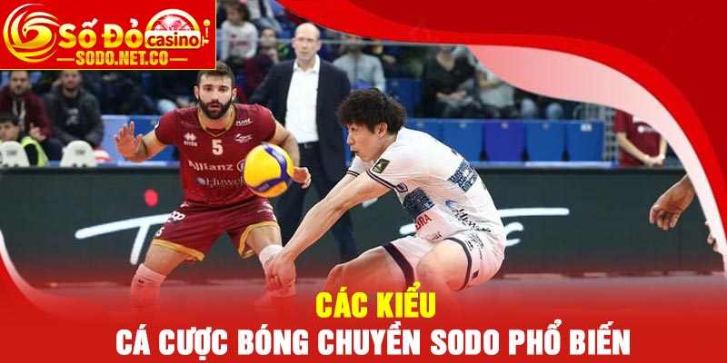 Các kiểu Cá cược bóng chuyền Sodo phổ biến