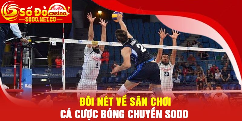 Đôi nét về sân chơi Cá cược bóng chuyền Sodo