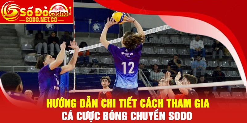 Hướng dẫn chi tiết cách tham gia Cá cược bóng chuyền Sodo