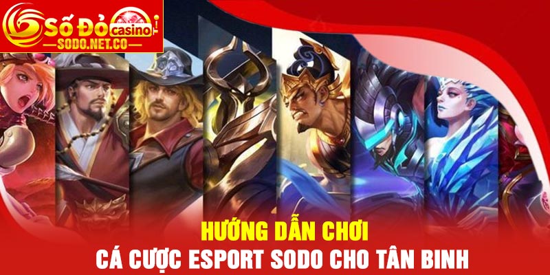 Hướng dẫn chơi cá cược Esport Sodo cho tân binh