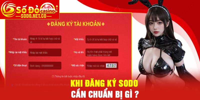Khi đăng ký Sodo cần chuẩn bị gì ?