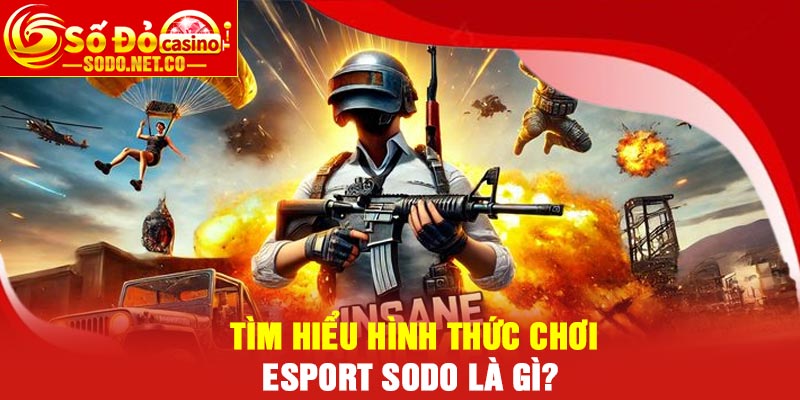 Tìm hiểu hình thức chơi Esport Sodo là gì?
