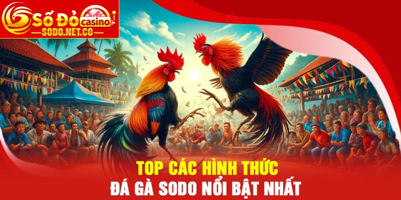 Top các hình thức Đá Gà Sodo nổi bật nhất