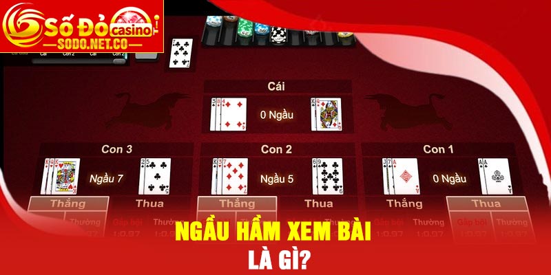Luật Cược Chi Tiết Của Ngầu Hầm Xem Bài