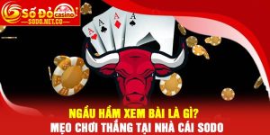 Ngầu Hầm Xem Bài Là Gì? Mẹo Chơi Thắng Tại Nhà Cái Sodo